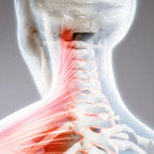 zeno-grassi-trattamento-cervicale-massaggi-a-verona-per-la-cervicale-zenograssi